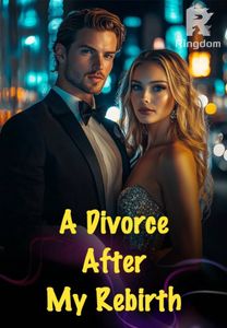A Divorce After My Rebirth