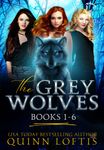 The Grey Wolves Series Books 1-6