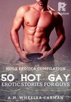 50 Hot Gay Erotic Stories for Guys