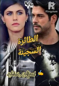 الطائرة السجينة