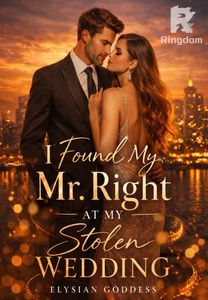 I Found My Mr. Right At My Stolen Wedding