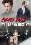 Cruel Boss, You Are My Destiny