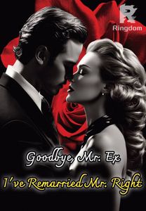 Goodbye, Mr. Ex: I've Remarried Mr. Right