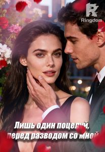 Лишь один поцелуй, перед разводом со мной