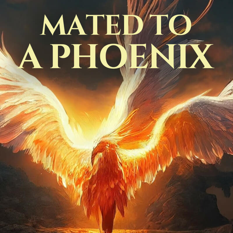 Picture of the author