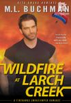 Wildfire at Larch Creek