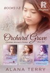 Orchard Grove Christian Women's Fiction Box Set (Books 1-3)