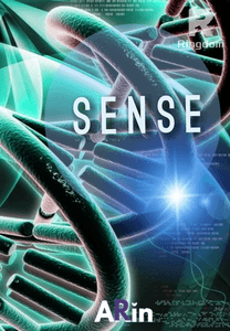 SENSE