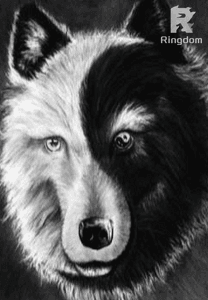 YOU WILL REGRET REJECTING ME