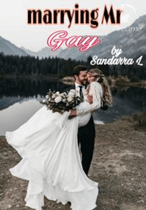 Marrying Mr Gay Indonesia End By Sandarra L Online Books Dreame