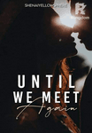 UNTIL WE MEET AGAIN (BOOK 1)
