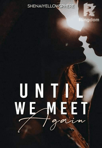 UNTIL WE MEET AGAIN (BOOK 1)