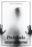 Prohibido enamorarse
