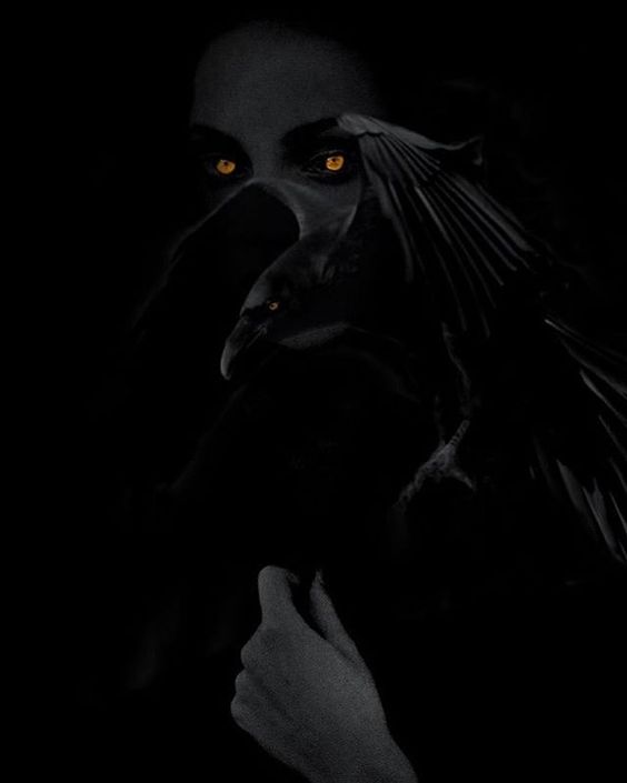 author-avatar