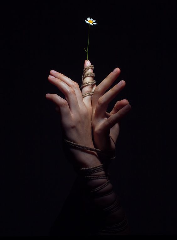 author-avatar