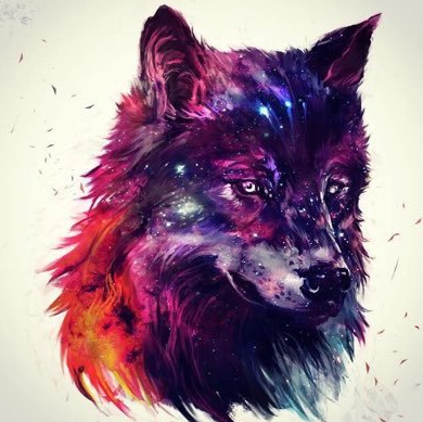 author-avatar