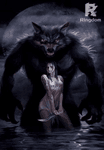 The Last Lycan and his Grey Witch