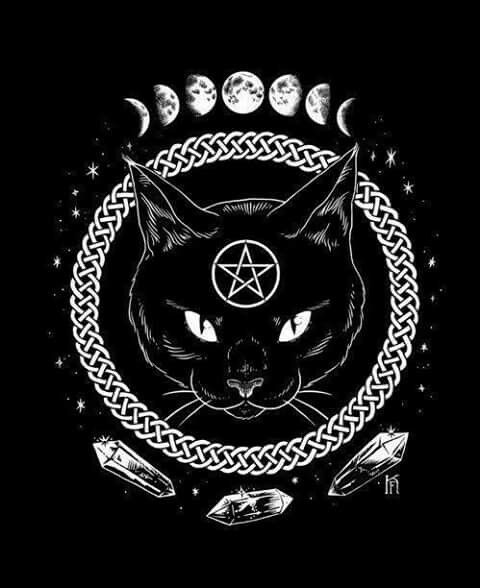 author-avatar