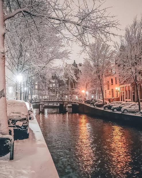 author-avatar