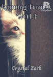 Running From A Wolf