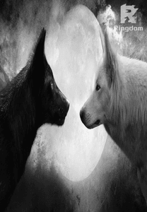 His Luna and His Mate