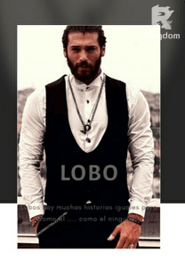 LOBO