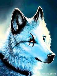 author-avatar