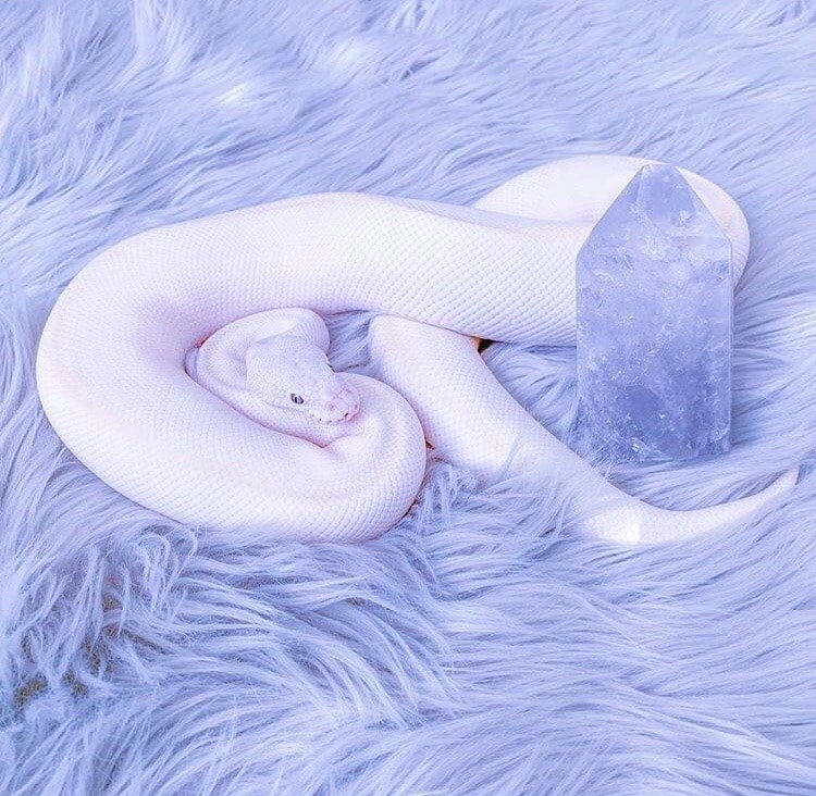 author-avatar