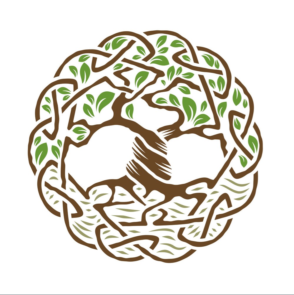 author-avatar