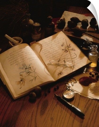 author-avatar