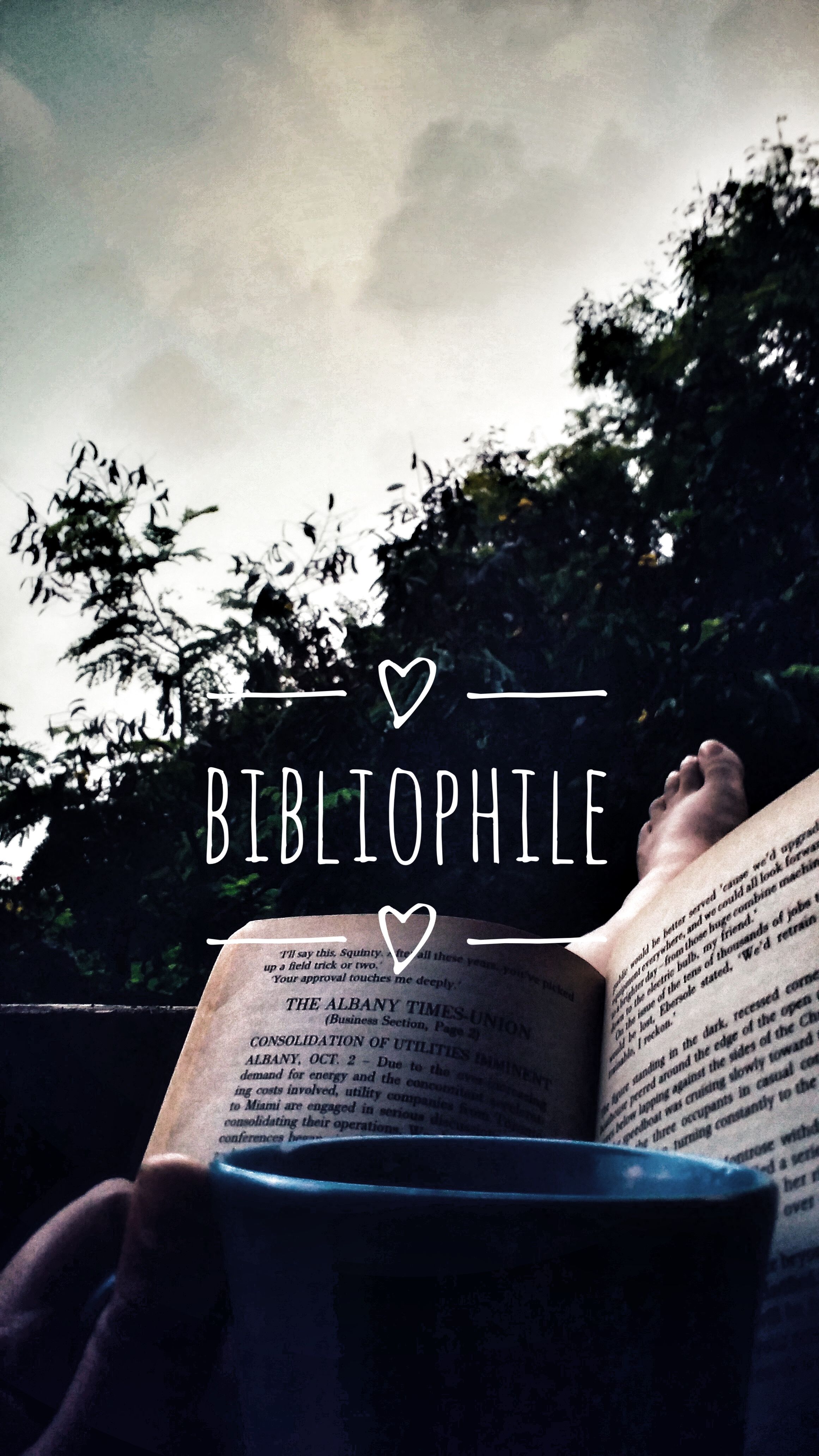 author-avatar