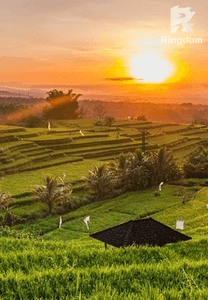 Menghancurkan Hati Cinta