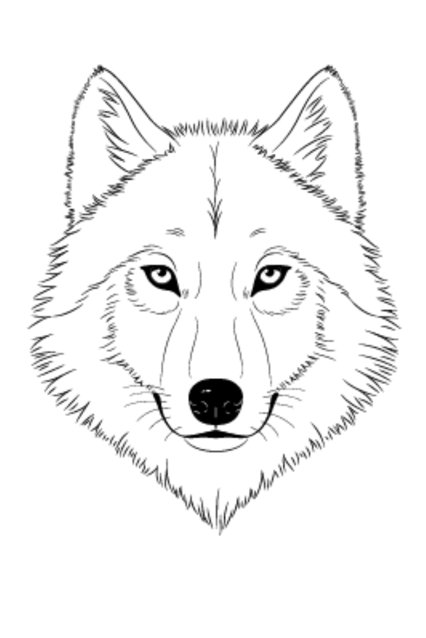 author-avatar