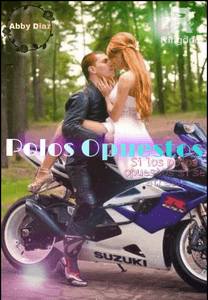 Polos Opuestos