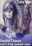 Second Chance book 2 the werebear series