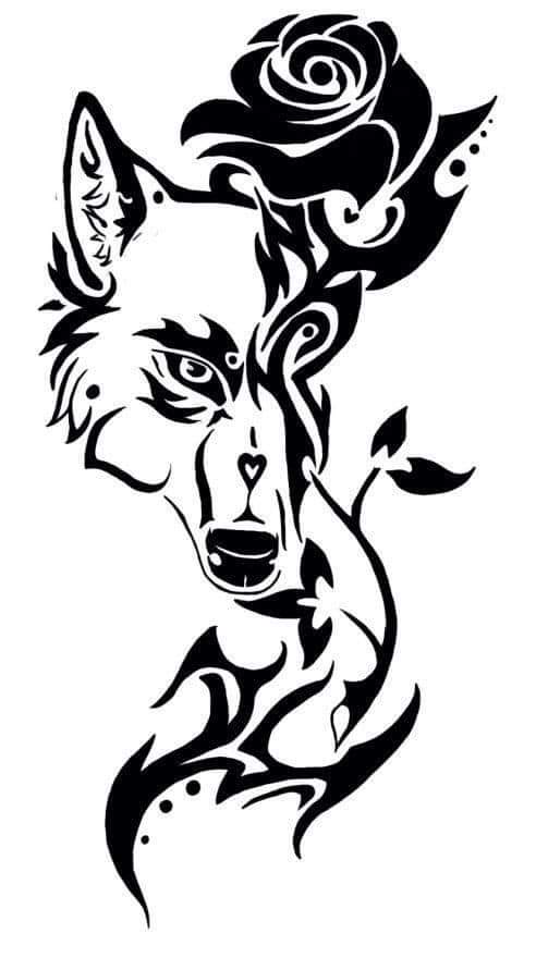 author-avatar