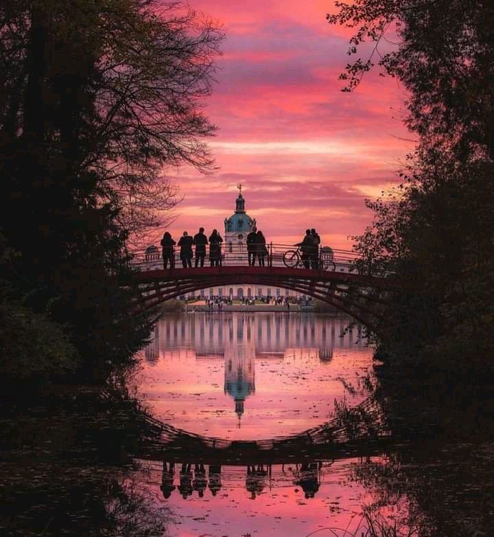 author-avatar