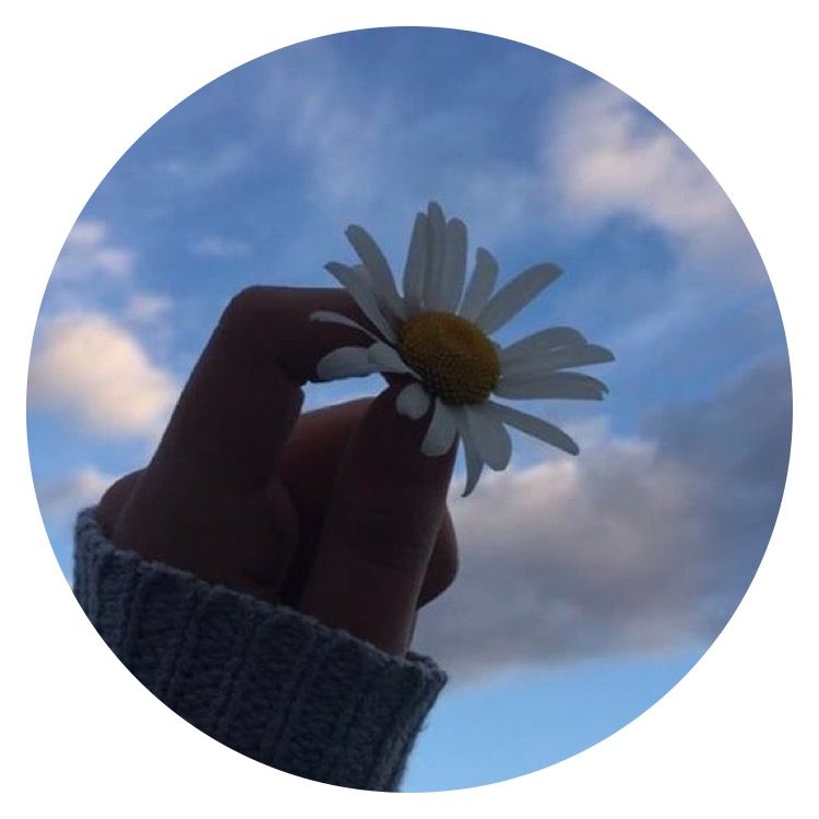 author-avatar