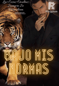 Bajo mis normas