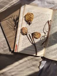 author-avatar