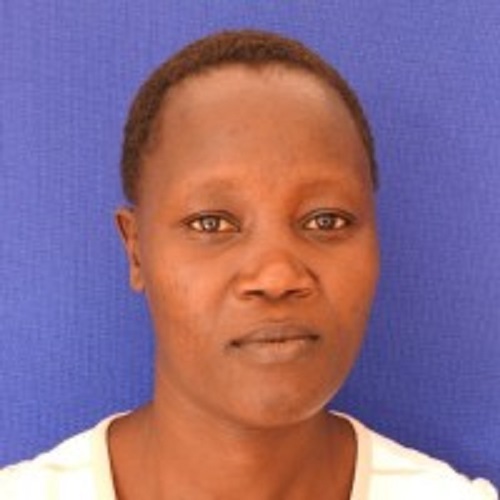 author-avatar