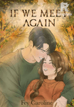 IF WE MEET AGAIN