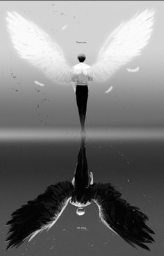 author-avatar
