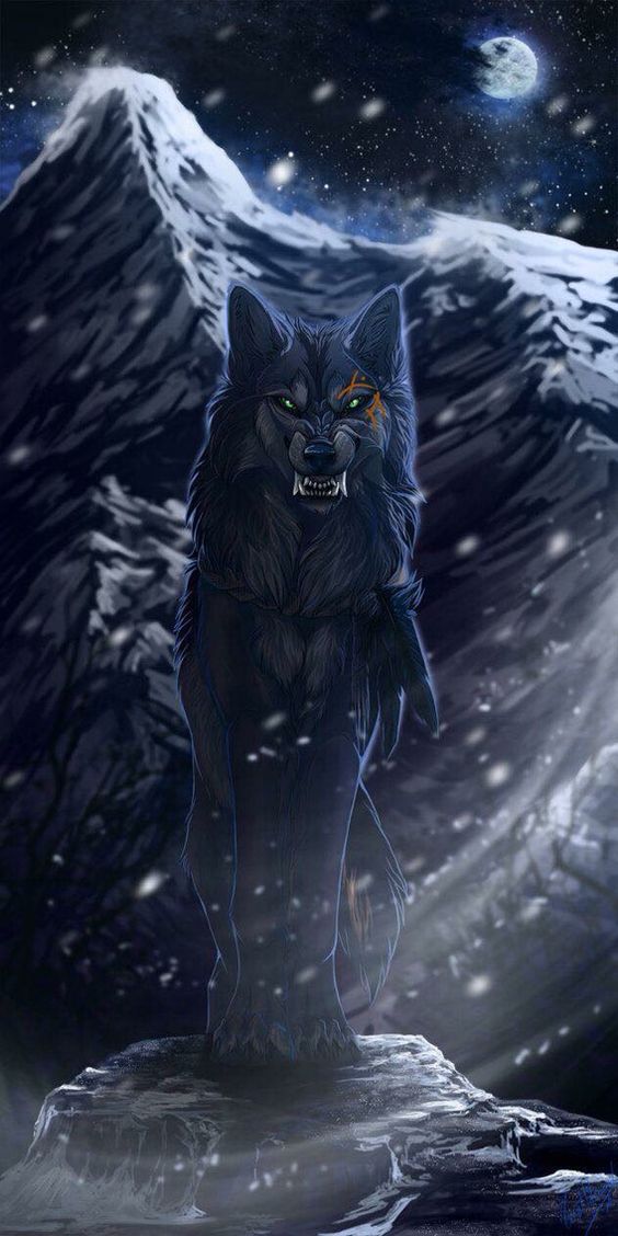 author-avatar