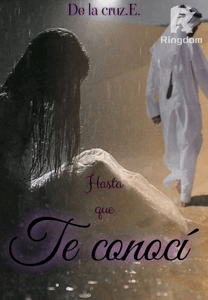 Hasta que te conocí
