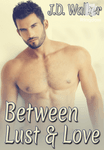 Between Lust and Love Box Set