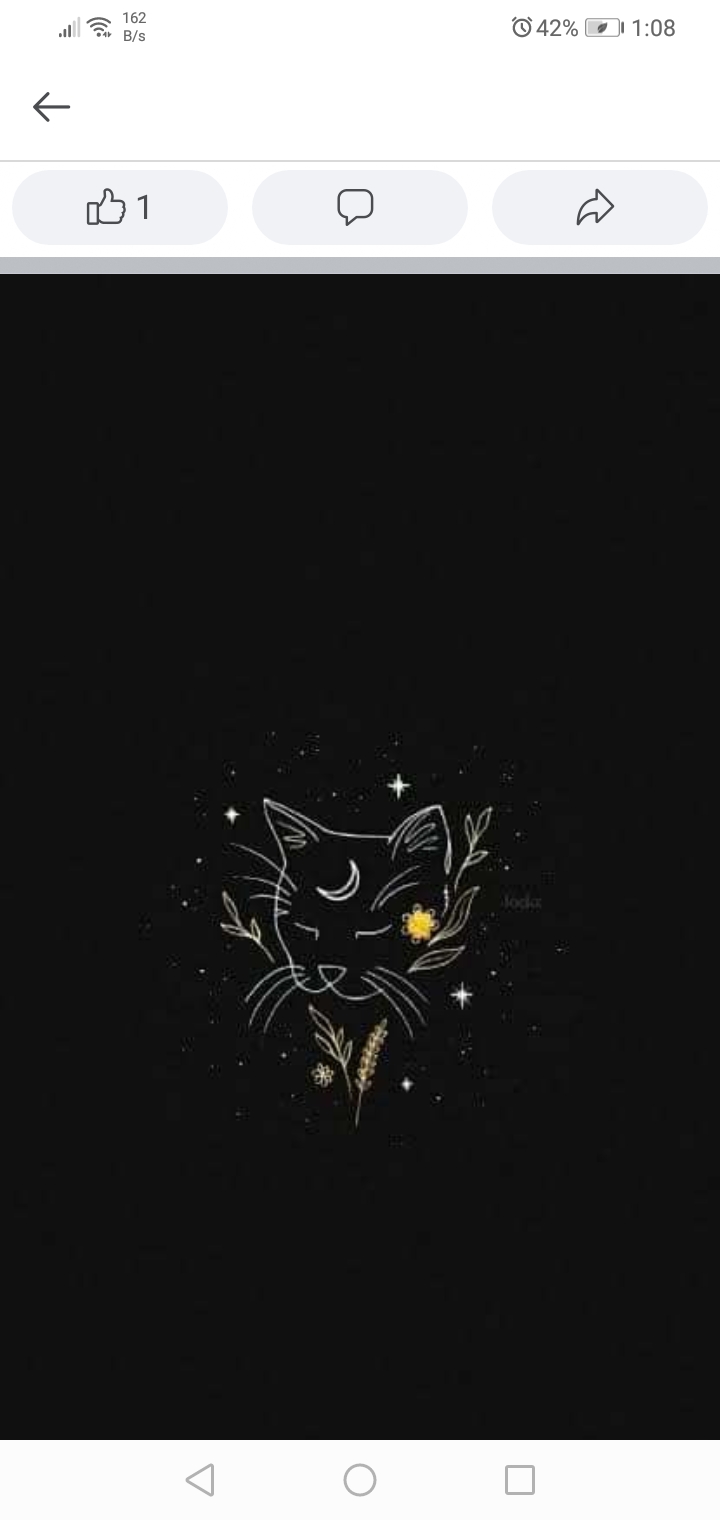 author-avatar