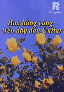 Hoa hồng vàng trên dây đàn Guitar