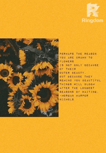 مجمع روايات