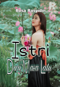 Istri Dari Masa Lalu
